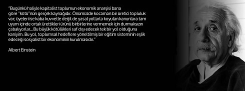 Albert Einstein - Sosyalizm facebook kapak fotoğrafı