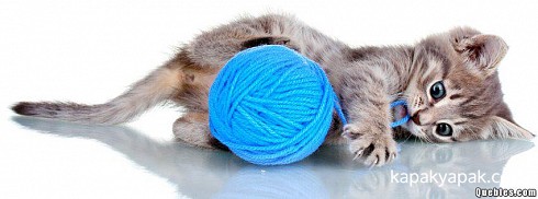 Yumakla Oynayan Kedi facebook kapak fotoğrafı