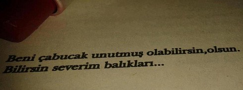 Severim Balıkları facebook kapak fotoğrafı