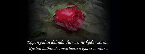 Kopan Gül Kırılan Kalp facebook kapak fotoğrafı