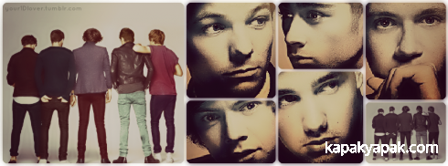 One Direction facebook kapak fotoğrafı