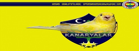 Fenerbahçe facebook kapak fotoğrafı
