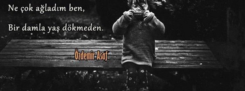 Özdemir Asaf - Ne çok ağladım ben facebook kapak fotoğrafı