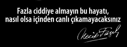 Necip Fazıl - Fazla ciddiye almayın bu hayatı facebook kapak fotoğrafı