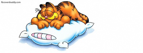 Garfield facebook kapak fotoğrafı