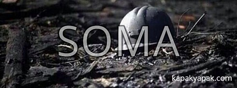 Soma facebook kapak fotoğrafı