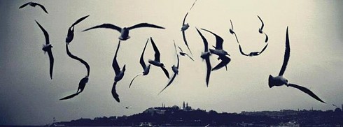 Martılardan İstanbul facebook kapak fotoğrafı