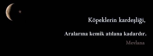 Mevlana - Köpeklerin Kardeşliği facebook kapak fotoğrafı