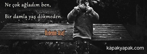 Özdemir Asaf - Ne çok ağladım ben facebook kapak fotoğrafı