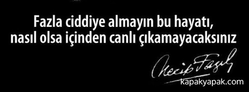 Necip Fazıl - Fazla ciddiye almayın bu hayatı facebook kapak fotoğrafı